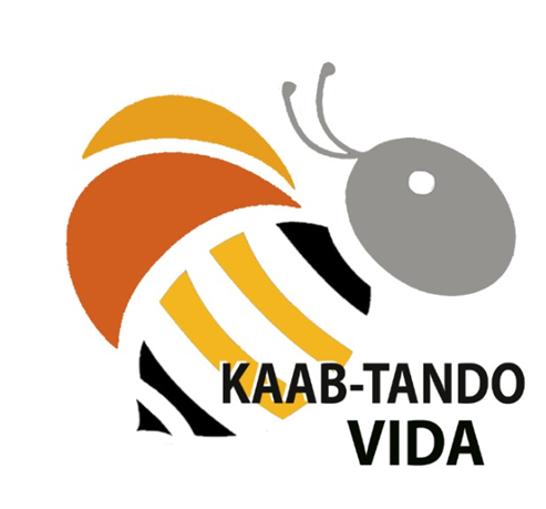 Logo Kaab Tando Vida
